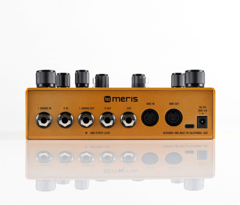 MERIS ENZO X : PRE-ORDER