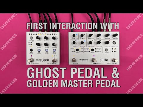 ENDORPHIN.ES GOLDEN MASTER PEDAL